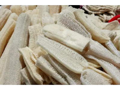 Le calage colis zéro déchet : comment nous utilisons les chutes de luffa
